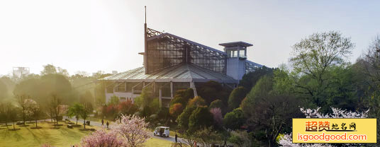 上海植物园