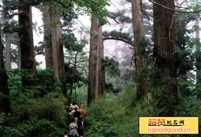 天目山商周遗址