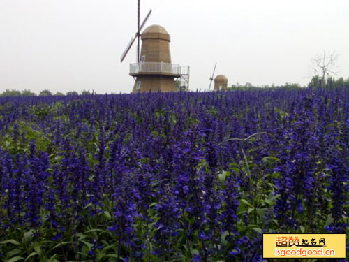 北京国际鲜花港