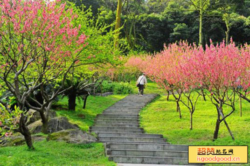 连云港桃花涧