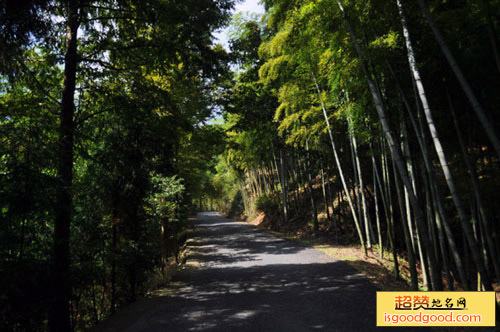 回峰岭古道