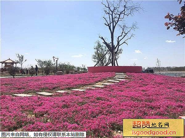 仙河花海生态乐园景区