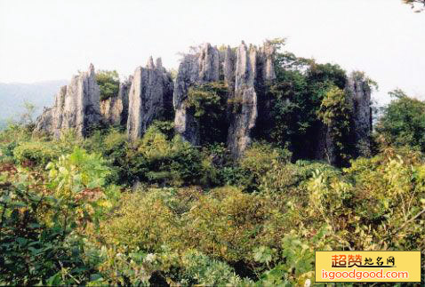 锣鼓圈岩溶石林