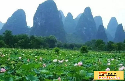 荷塘风景区