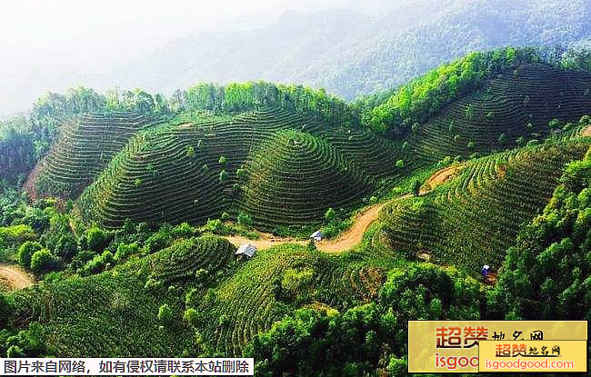 六堡茶生态旅游景区