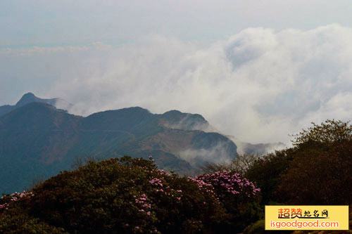 龙肘山