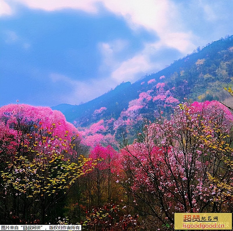 绵阳北川药王谷