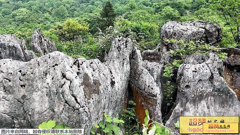 西部竹石林风景区