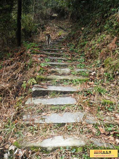 茶山古道