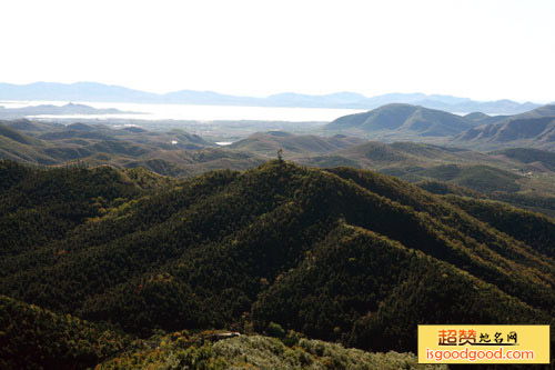 九龙山国家森林公园