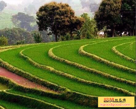 哀牢山风景区