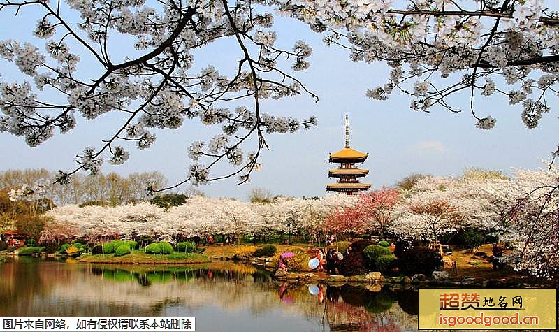 东湖磨山景区