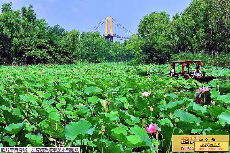 微山湖湿地红荷旅游风景区