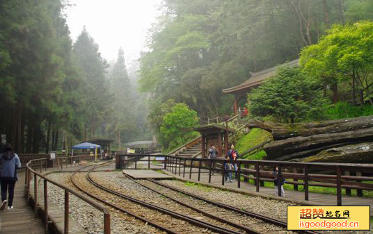 阿里山森林游乐区