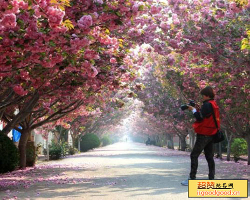 濯村特色农业旅游区