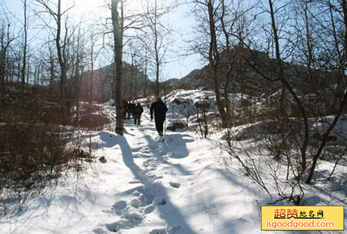 鹿泉西山森林公园