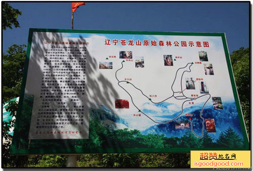 苍龙山原始森林公园