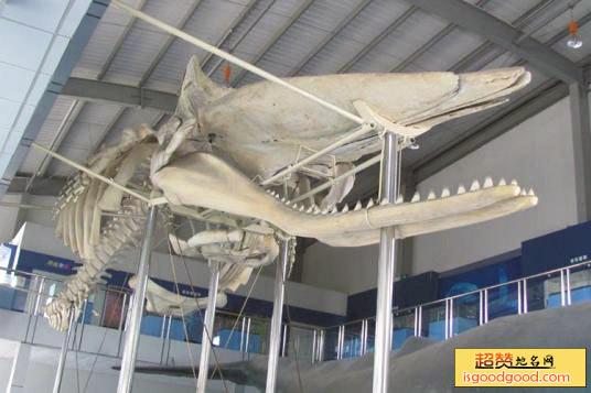 中国鱼文化博物馆