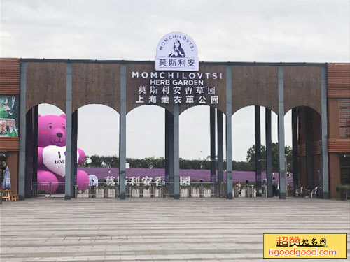 上海薰衣草公园
