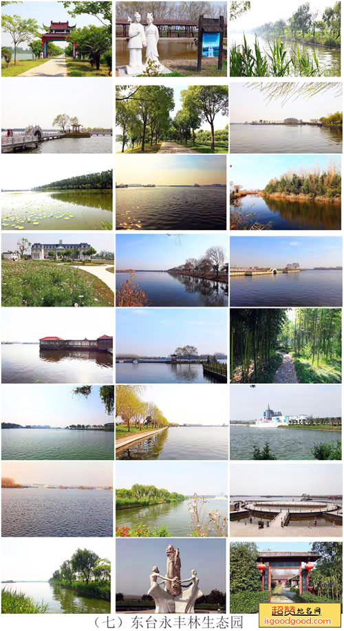 东台永丰林农业生态园