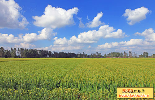 江苏杨侍农业生态园