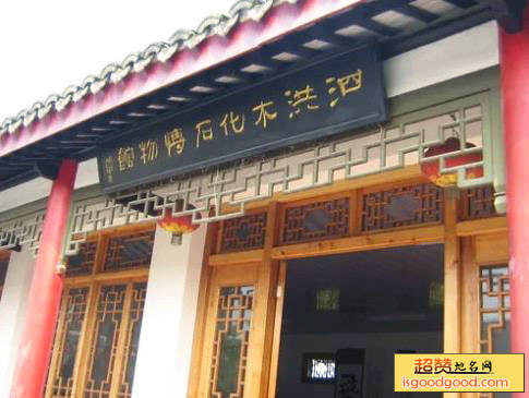 泗洪木化石博物馆