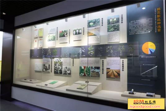 中国棉花博物馆