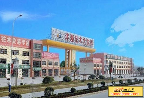 沭阳花木大世界