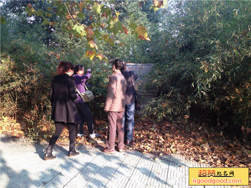 程桥东周墓葬群