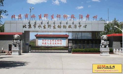 北京市水生野生动物救治中心