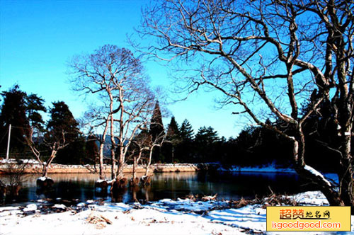 草鱼塘森林公园