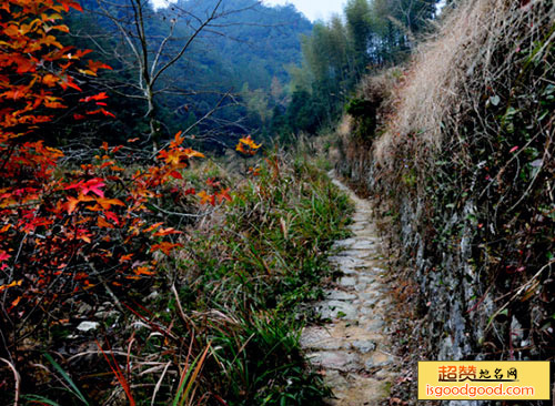 九龙山古道