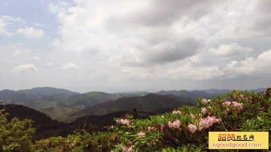 华顶国家森林公园