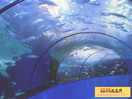 合肥汉海极地海洋世界