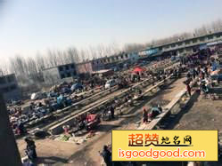 中陈郝瓷窑遗址