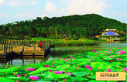 萌山湖荷花生态园