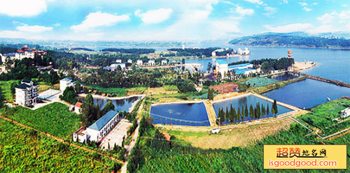 天紫湖生态度假区