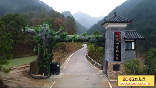 洪家山森林公园