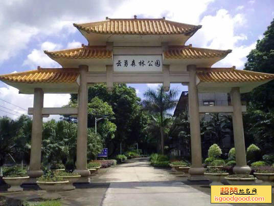 云勇森林公园
