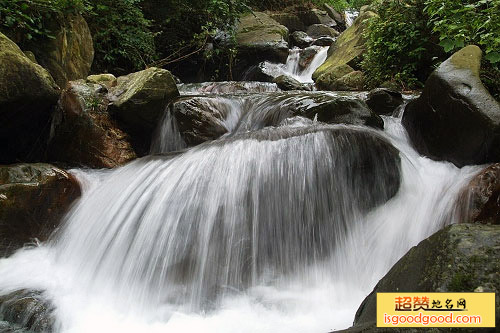 乳源通天萝森林公园