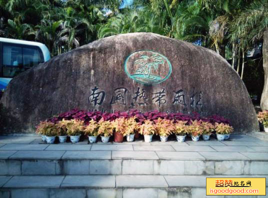 天涯雨林博物馆