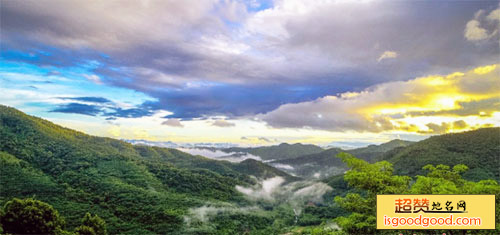 尖岭森林自然保护区