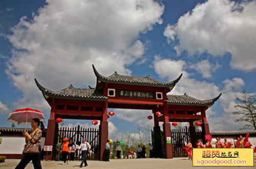 黄水药用植物园