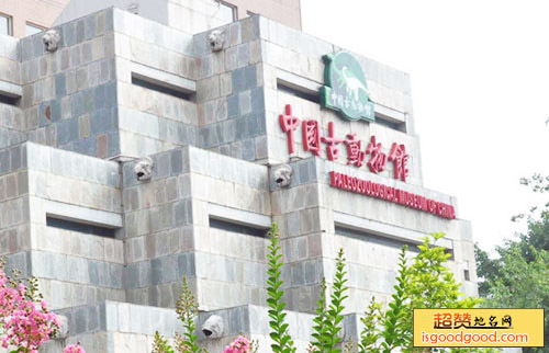 中国古动物馆