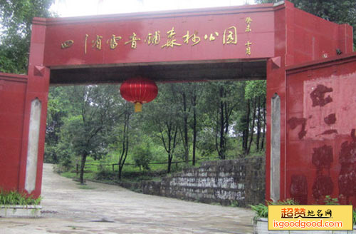 雷音铺森林公园