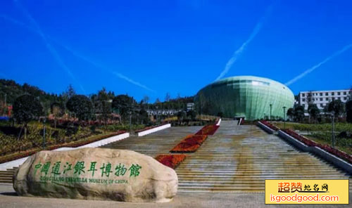 通江银耳博物馆