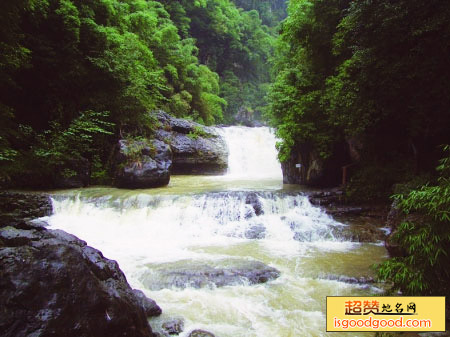 罗家洞森林公园