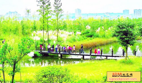 席吴二洲生态湿地公园
