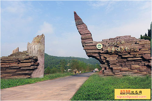 射洪硅化木国家地质公园