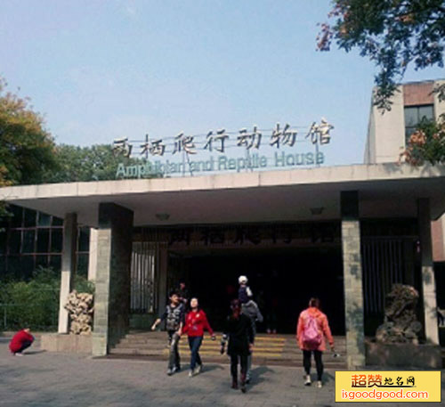 两栖爬行动物馆